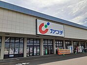 【ドラッグストア】カワチ薬品藤代店まで630ｍ