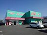 周辺：【ドラッグストア】ドラッグコスモス善導寺店まで960ｍ