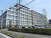 【総合病院】柏たなか病院まで650ｍ