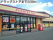 【ドラッグストア】ドラッグストアまで2230ｍ