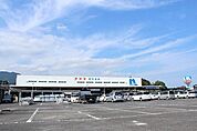 【ホームセンター】ナフコ伊万里店まで870ｍ