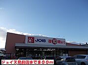 【スーパー】ジョイス見前店まで800ｍ