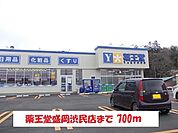 【ドラッグストア】薬王堂盛岡渋民店まで700ｍ