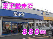 【ドラッグストア】薬王堂まで880ｍ