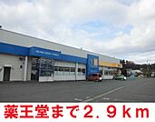 【ドラッグストア】薬王堂まで2900ｍ
