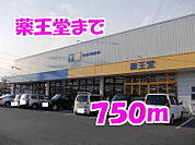 【ドラッグストア】薬王堂まで750ｍ