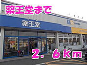 【ドラッグストア】薬王堂まで2600ｍ