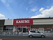 【スーパー】カスミライフガーデン茂原店まで1600ｍ