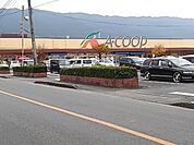 【スーパー】Ａコープよしい店まで290ｍ