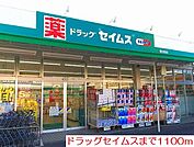 【ドラッグストア】ドラッグセイムスまで1100ｍ