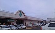 【スーパー】いちい信夫ヶ丘店まで750ｍ