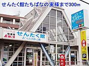 せんたく館たちばなの実様まで300ｍ