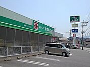 【ドラッグストア】セイムスまで550ｍ