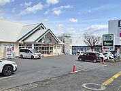 Seria 別府店まで550ｍ