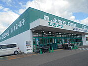 【ドラッグストア】エバーグリーン御坊店様まで850ｍ
