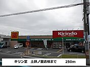 【ドラッグストア】キリン堂土師ノ里店様まで250ｍ