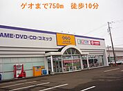 【レンタルビデオ】ゲオまで750ｍ