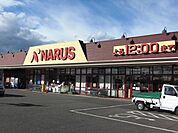 【スーパー】ナルス鴨島店まで700ｍ