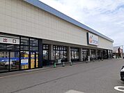 【ドラッグストア】カワチ薬品　松崎店まで650ｍ