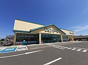 【スーパー】リオン・ドール新津本町店まで2300ｍ