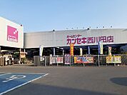 【ホームセンター】カンセキ西川田店まで950ｍ