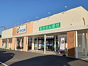 【ドラッグストア】カワチ　石橋店まで1500ｍ