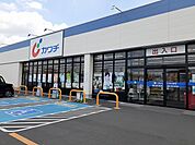 【ドラッグストア】カワチ薬品岩曽店まで800ｍ