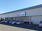 【ドラッグストア】カワチ薬品針ヶ谷店まで650ｍ