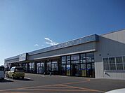 【ドラッグストア】カワチ薬品若松原店まで1400ｍ