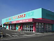 【ドラッグストア】コスモス都城栄町店まで1100ｍ