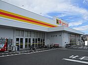 ダイレックス吉村店まで500ｍ