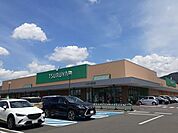 【スーパー】ツルヤ　並柳店まで1300ｍ