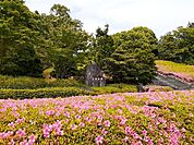 【公園】広見公園まで1000ｍ