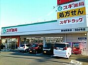 【ドラッグストア】スギ薬局御油店様まで160ｍ