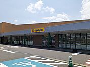 【ドラッグストア】マツモトキヨシ　池田町店まで1600ｍ