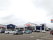 【スーパー】大阪屋ショップまで300ｍ