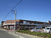 【スーパー】ドミー　一色店まで230ｍ