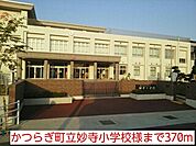 【小学校】かつらぎ町立妙寺小学校様まで370ｍ