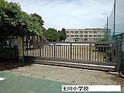 【小学校】玉川小学校まで330ｍ