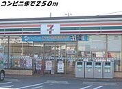 【コンビニエンスストア】セブンイレブンまで250ｍ