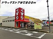 【ドラッグストア】ツジ薬局まで800ｍ