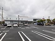 【ドラッグストア】ドラッグストアチャーリー沖浜店まで350ｍ