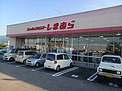 しまむら土居店まで2536ｍ