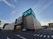 ニトリ松山店様まで700ｍ