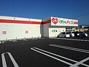 【ドラッグストア】レディ薬局丹原店様まで750ｍ