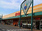 【スーパー】コープ山根店様まで1500ｍ