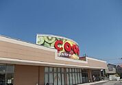 【スーパー】コープえひめコープ三津店様まで600ｍ