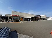 【ホームセンター】ホームセンターマルニ 朝倉店まで2500ｍ
