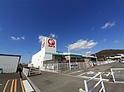 【ホームセンター】コメリ野市店まで850ｍ
