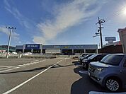 【ホームセンター】DCM のいち店まで550ｍ